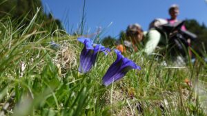 Séjour randonnée de printemps du Gîte de La Jarjatte