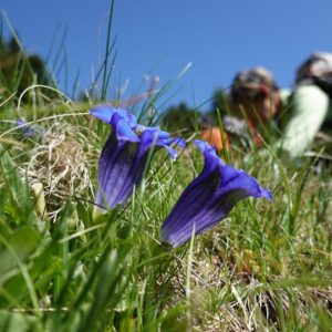 Séjour randonnée de printemps du Gîte de La Jarjatte