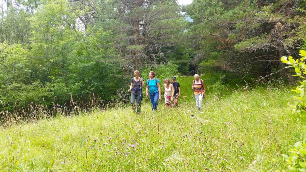 Feldenkrais et balade en forêt dans le site classé de La Jarjatte