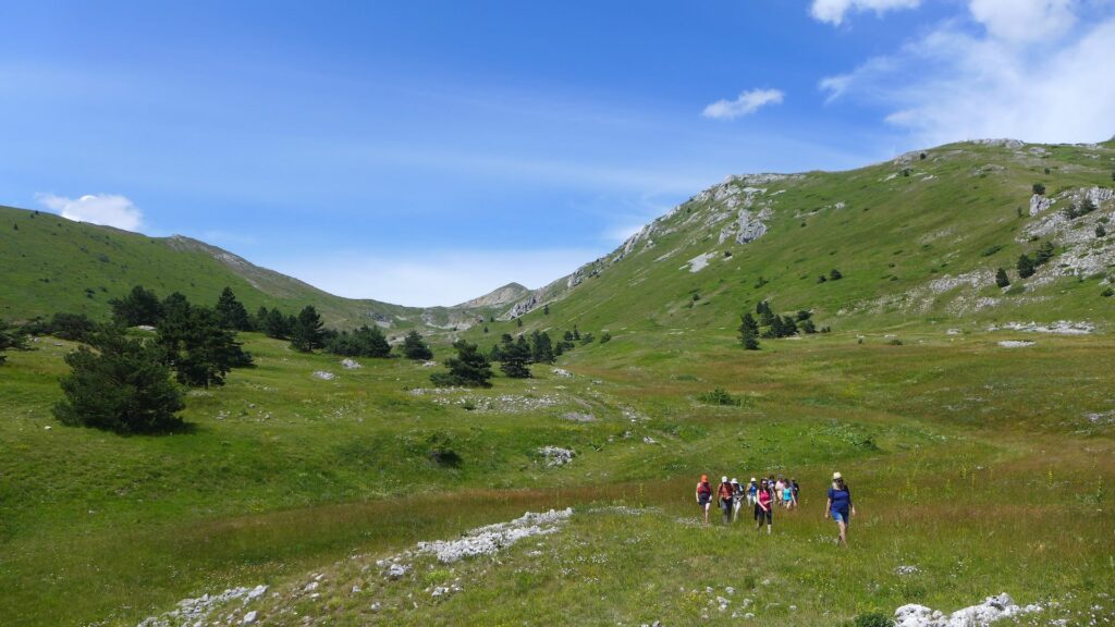 Stage de Feldenkrais et balade dans le Parc Naturel Régional du Vercors