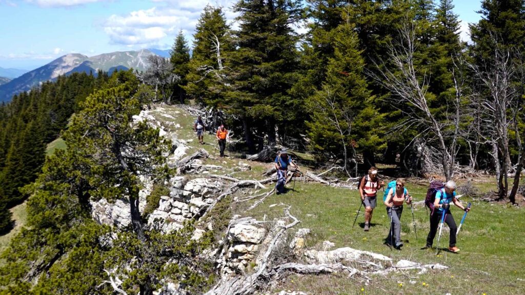 Les plus belles randonnées du vallon classé de La Jarjatte : le Durbonas, versant Haut-Buëch