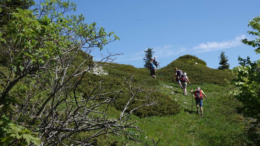 Les plus belles randonnées du vallon classé de La Jarjatte : col du Salut entre Vercors et Trièves