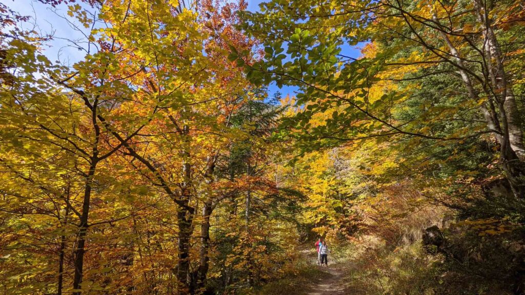 Stage d'automne de Qi Gong dans les montagnes de la Drôme