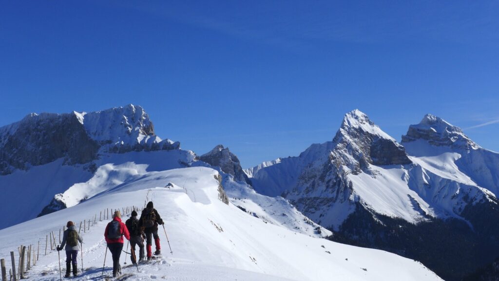 Raquettes face aux Aiguilles de Lus la Croix-Haute