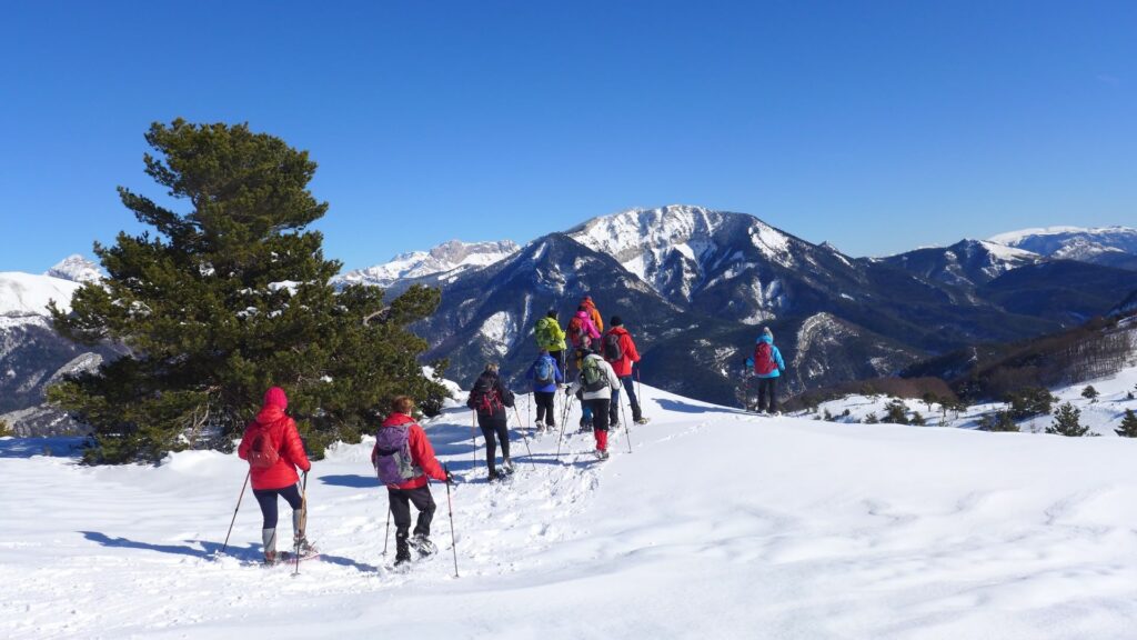 Raquettes sur les hauteurs de la vallée du Buëch