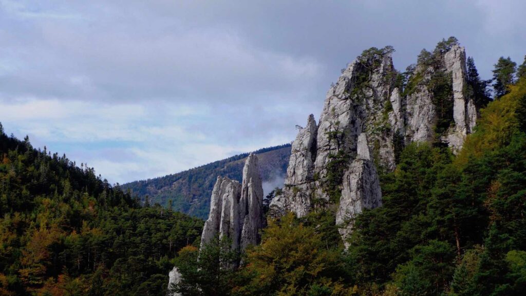 Les sucettes de Borne dans le Haut-Diois