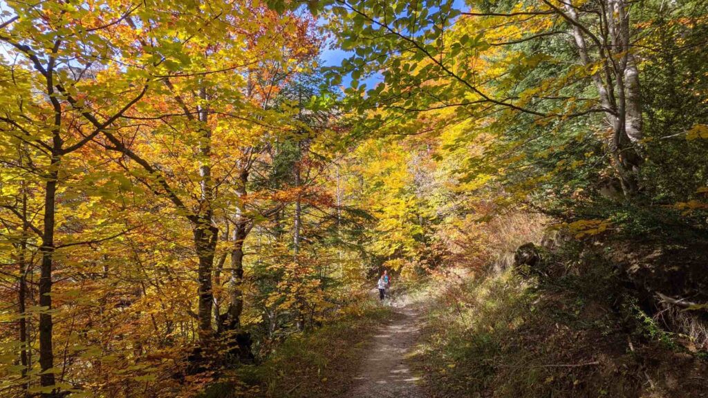 Randonnée en automne dans la Drôme