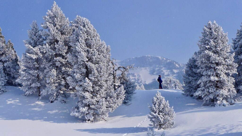 Raquettes dans le Vercors