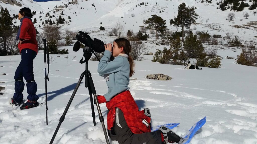 Séjour familles : raquettes et observation de chamois