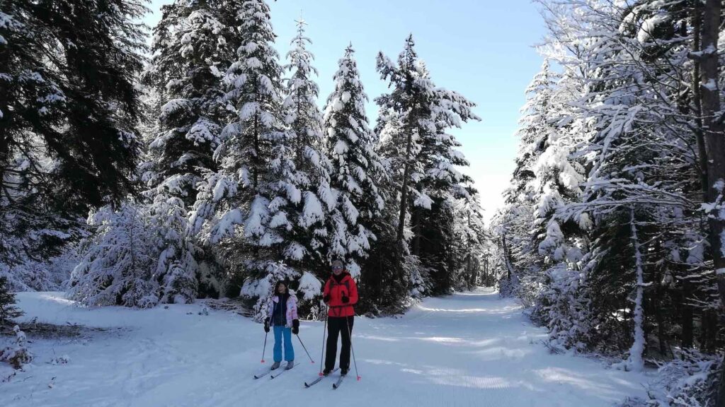 Ski de fond dans le vallon de La Jarjatte