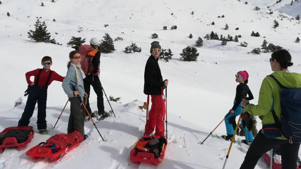 Concours de luges dans les montagnes de Lus la Croix-Haute