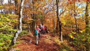 Séjour randonnée couleurs d'automne dans la Drôme