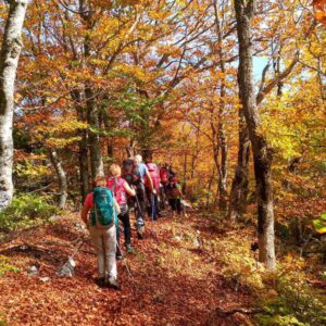 Séjour randonnée couleurs d'automne dans la Drôme