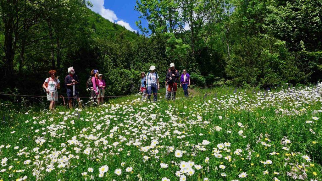 Randonnée de printemps en montagne