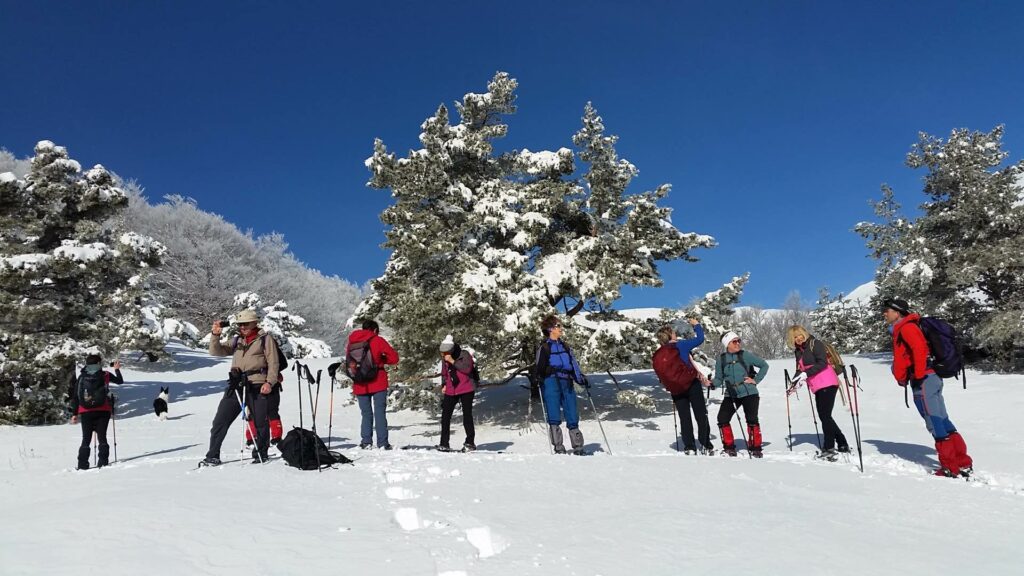 Raquettes à Lus la Croix-Haute entre Vercors et Dévoluy