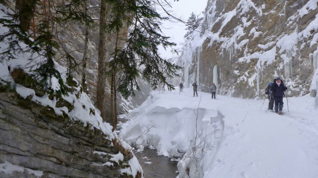 Raquettes dans les gorges de Riou-Froid à Saint-Julien-en-Beauchêne