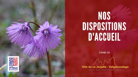 Nos mesures d’accueil liées au coronavirus