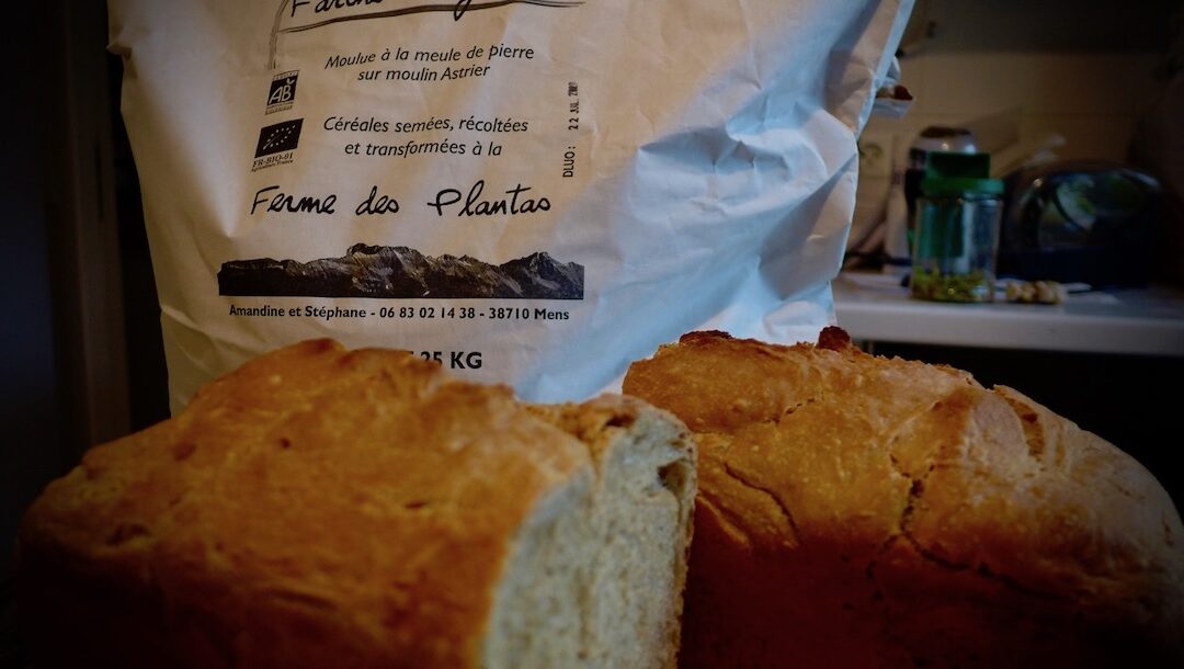 Le pain au levain du gîte de La Jarjatte