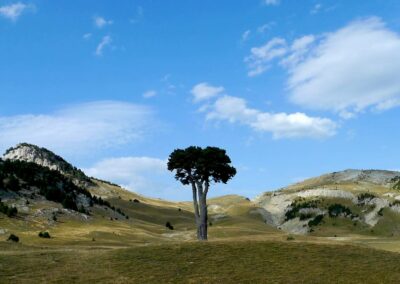 Le Parc Naturel Régional du Vercors