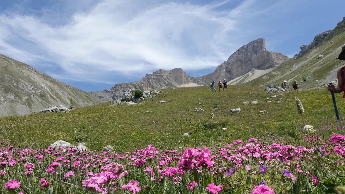 Feldenkrais et marche à pied