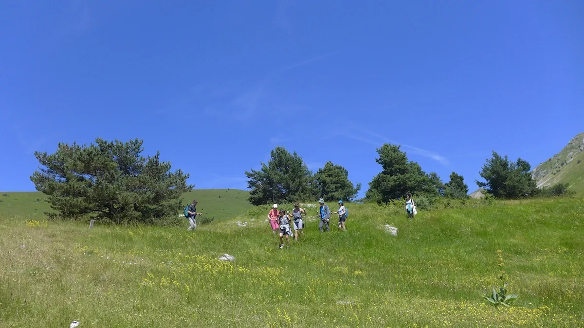 Séjour Feldenkrais en Vercors