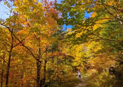 Randonner en automne : une saison privilégiée