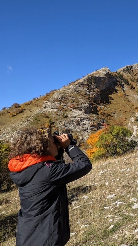 Dévoluy, observation de chamois en automne.