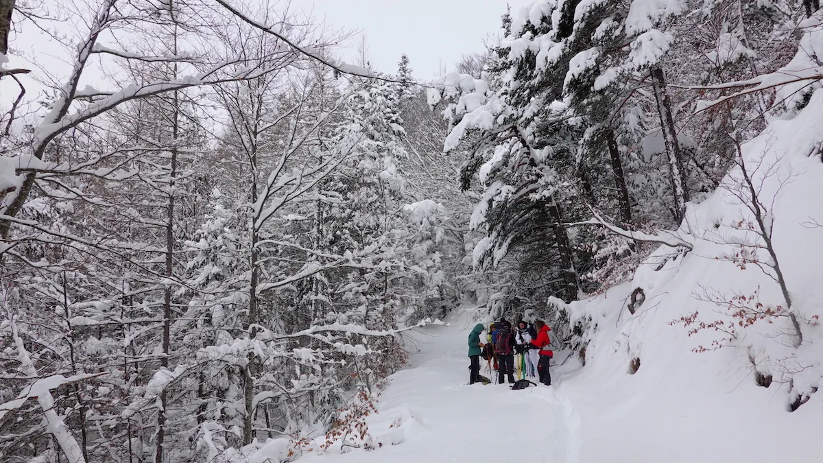 Jour de neige à Lus la Croix-Haute