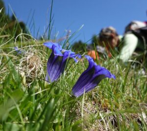 Séjour randonnée de printemps du Gîte de La Jarjatte