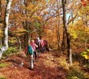 Séjour randonnée couleurs d'automne dans la Drôme